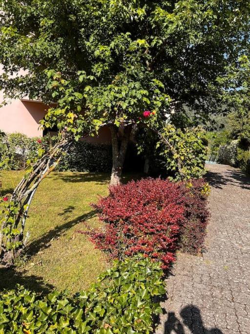 - Italo & Dada Holiday home *